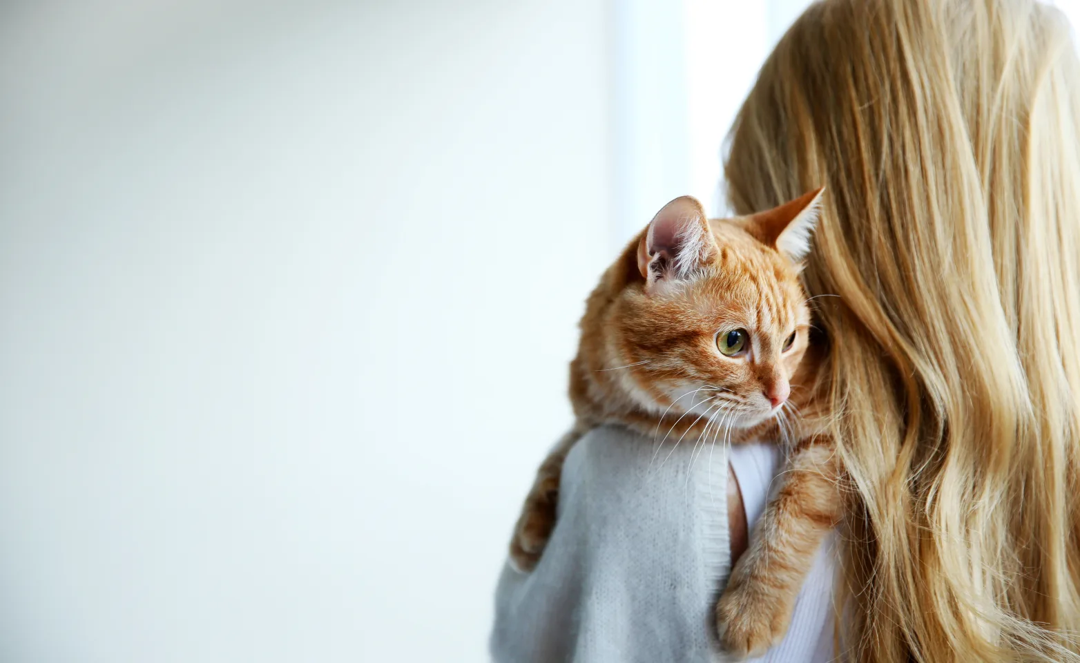 Woman holding cat